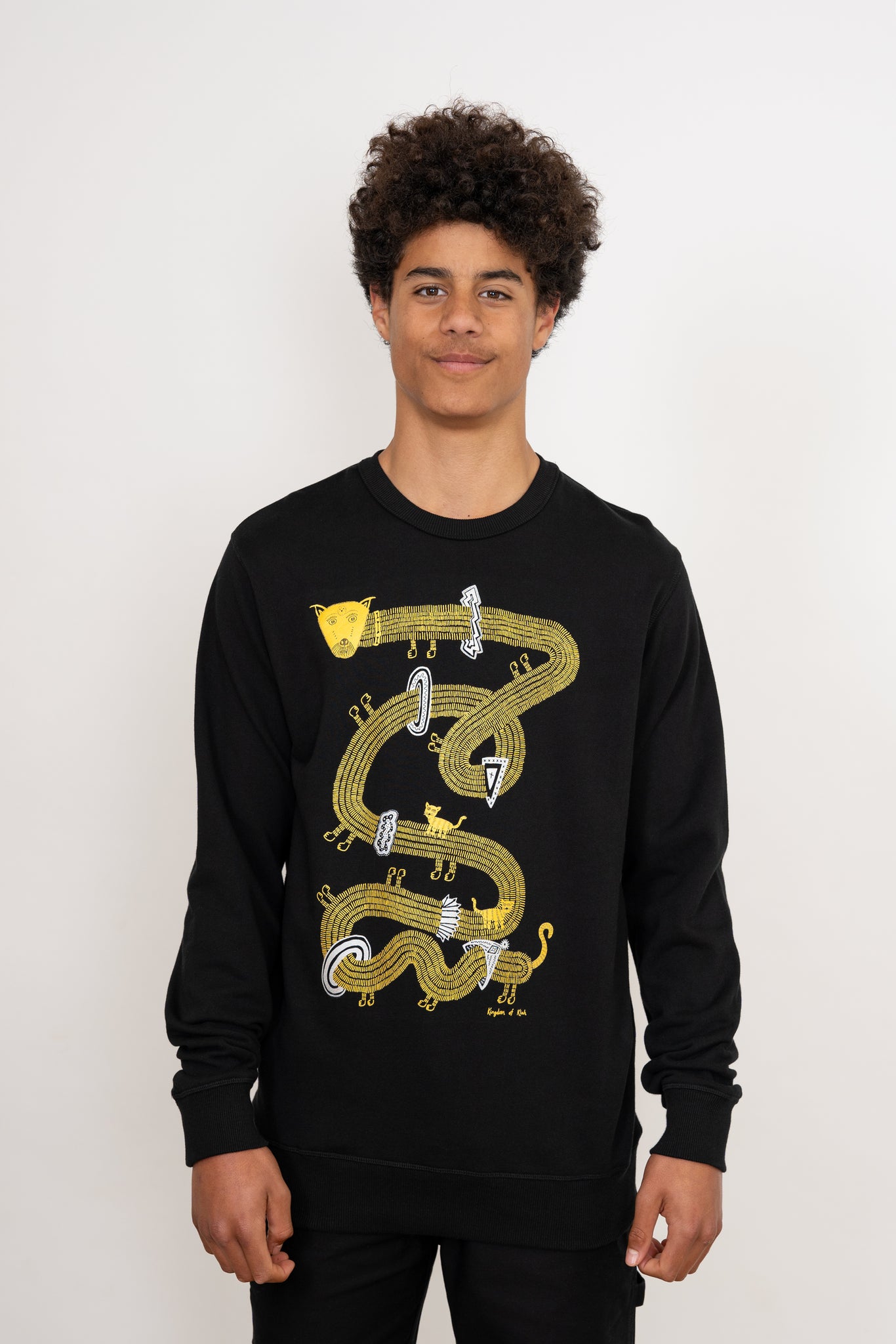 The Time Travelling Dog Royal Sweatshirt, Metallic Gold & Silver